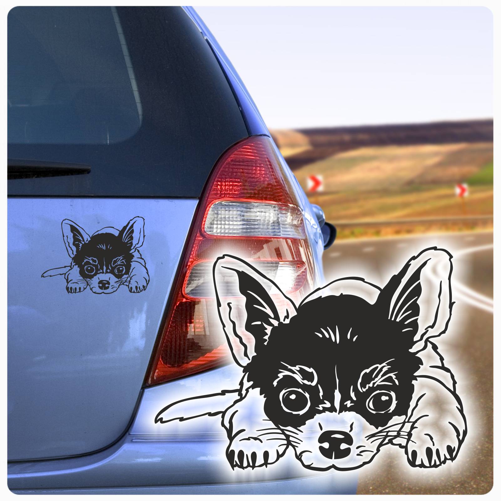 Auto Aufkleber Chihuahua Autoaufkleber Hund Hunde Sticker Pfote Pfoten