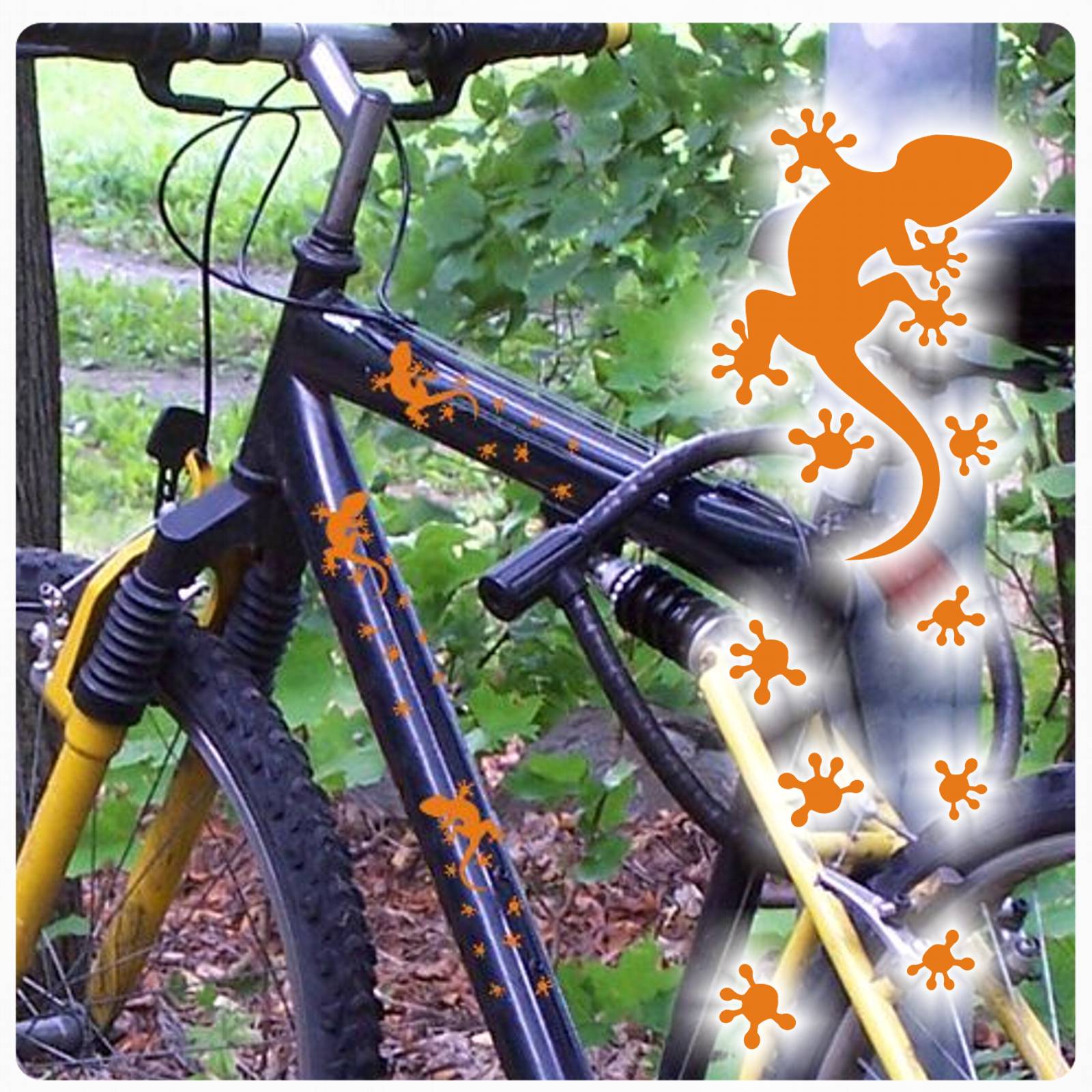 gecko gekko echse fahrrad aufkleber sticker set