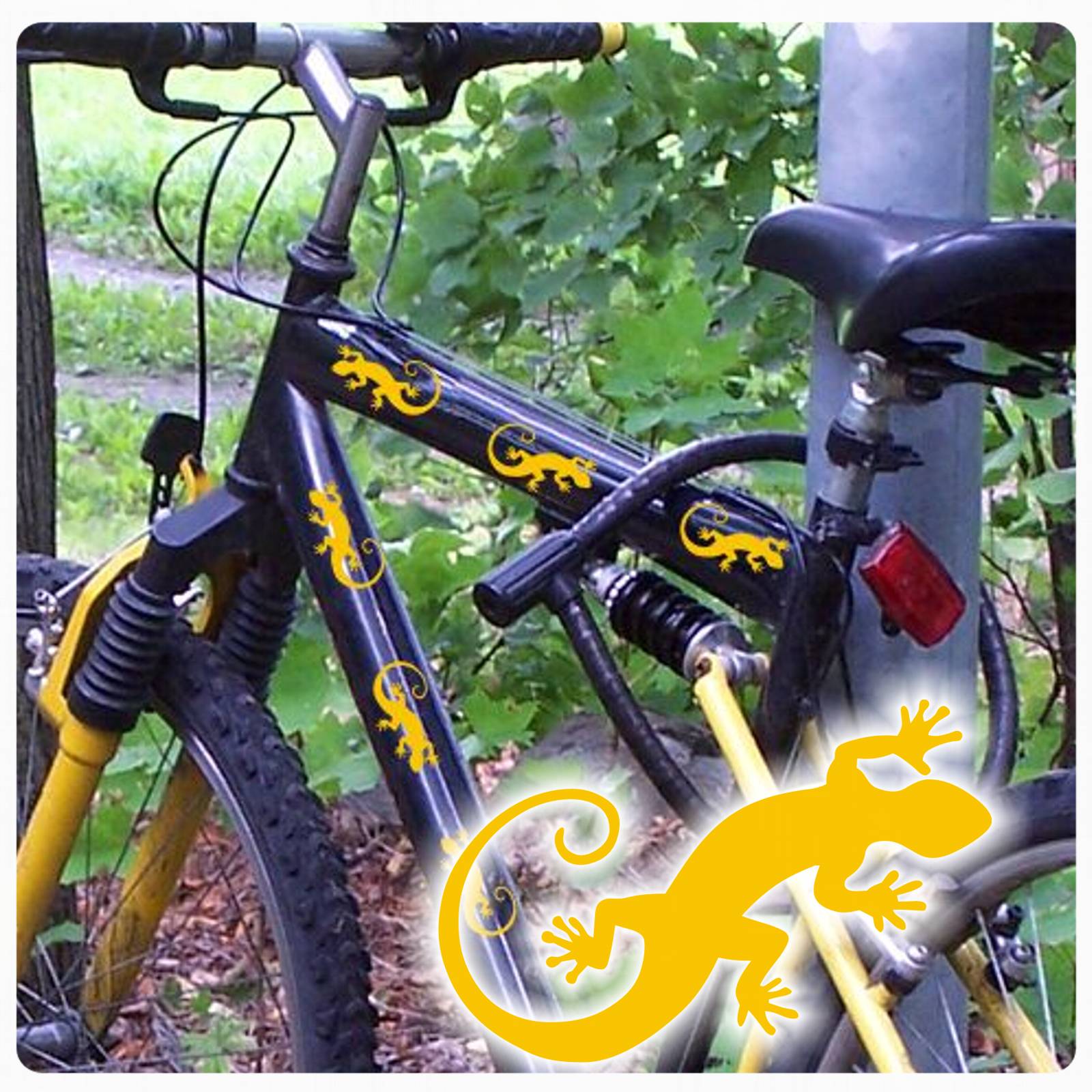 gecko gekko echse fahrrad aufkleber sticker set