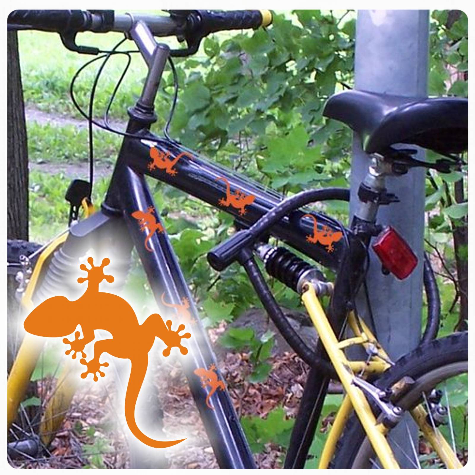 gecko gekko echse fahrrad aufkleber sticker set