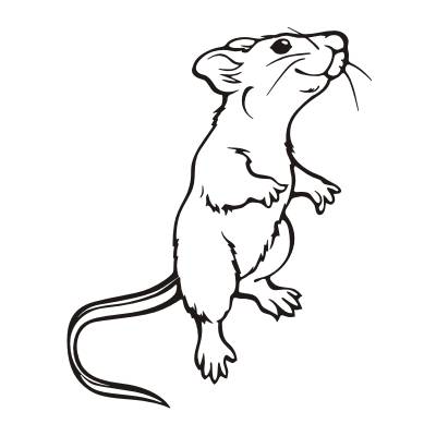 Autoaufkleber Tieraufkleber Ratte und Maus