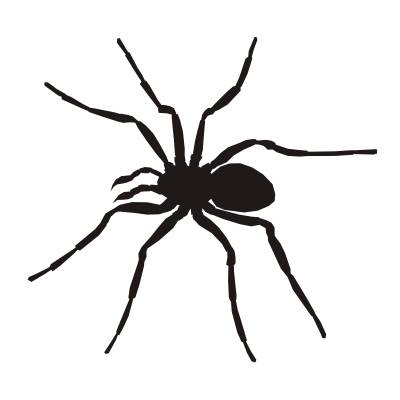 Autoaufkleber Tieraufkleber Spinnen, Spider