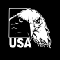Preview: Adler Weißkopfseeadler USA Wohnmobil Aufkleber Wohnwagen Sticker WoMo083