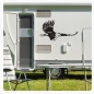 Preview: Adler Eagle Seeadler Wohnmobil Aufkleber Wohnwagen Caravan Sticker WoMo153