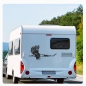 Preview: Adler Eagle Seeadler Wohnmobil Aufkleber Wohnwagen Caravan Sticker WoMo153