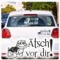 Preview: Ätsch vor dir! Autoaufkleber Turtle Schildkröte Sticker Aufkleber A2034