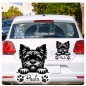 Preview: Affenpinscher Autoaufkleber Auto Aufkleber Sticker Hund Pfoten A4241