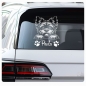 Preview: Affenpinscher Autoaufkleber Auto Aufkleber Sticker Hund Pfoten A4241