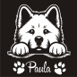 Preview: Akita Inu Autoaufkleber Auto Aufkleber Sticker Hund Pfoten A4266