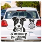 Preview: American Staffordshire Terrier Hunde Pfoten Auto Aufkleber Autoaufkleber A675