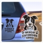 Preview: AAmerican Staffordshire Terrier Hunde Pfoten Auto Aufkleber Autoaufkleber A675