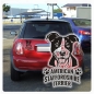 Preview: American Staffordshire Terrier Hunde Pfoten Auto Aufkleber Autoaufkleber A675