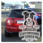 Preview: American Staffordshire Terrier Hunde Pfoten Auto Aufkleber Autoaufkleber A677