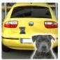 Preview: American Staffordshire Terrier Auto Aufkleber Autoaufkleber Sticker Hundeaufkleber DA686