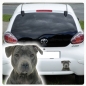 Preview: American Staffordshire Terrier Auto Aufkleber Autoaufkleber Sticker Hundeaufkleber DA686