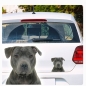 Preview: American Staffordshire Terrier Auto Aufkleber Autoaufkleber Sticker Hundeaufkleber DA686