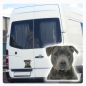 Preview: American Staffordshire Terrier Auto Aufkleber Autoaufkleber Sticker Hundeaufkleber DA686