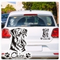 Preview: Airedale Terrier Name Auto Aufkleber Autoaufkleber Hund  Sticker Aufkleber A261