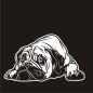 Preview: Autoufkleber Bullmastiff Auto Sticker Hundeaufkleber A3101