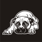 Preview: Autoufkleber Boxer Auto Sticker Hundeaufkleber A3102