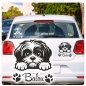 Preview: Autoufkleber Shi Tzu Sticker Aufkleber Hundeaufkleber A3111