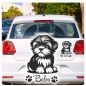 Preview: Autoufkleber Shi Tzu Sticker Aufkleber Hundeaufkleber A3113