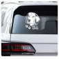 Preview: Beagle Name Auto Aufkleber Sticker Pfoten Hund A101