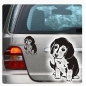 Preview: Beagle Welpe Auto Aufkleber Sticker Autoaufkleber Hund A168