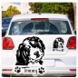 Preview: Bernedoodle Name Pfoten Autoaufkleber Auto Aufkleber Sticker A787