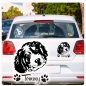 Preview: Bernedoodle Name Pfoten Autoaufkleber Auto Aufkleber Sticker A790