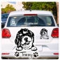 Preview: Bernedoodle Name Pfoten Autoaufkleber Auto Aufkleber Sticker A791