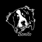 Preview: Berner Sennenhund Name Auto Aufkleber Sticker Hund A060