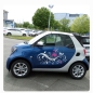 Preview: Auto Aufkleber Blumenranke Blumen 2 farbig Sticker Autoaufkleber Motorhaube A4220