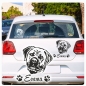 Preview: Boerboel Kopf Autoaufkleber Auto Aufkleber Sticker Hund Pfoten Name A1704