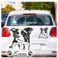 Preview: Border Colli Name Auto Aufkleber Autoaufkleber Hund A547