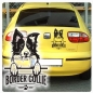 Preview: Border Collie Sticker Auto Aufkleber Hundeaufkleber A644