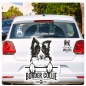 Preview: Border Collie Sticker Auto Aufkleber Hundeaufkleber A644