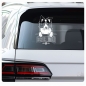 Preview: Border Collie Sticker Auto Aufkleber Hundeaufkleber A644