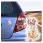 Preview: Digitaldruck Auto Aufkleber Border Collie Hundeaufkleber Sticker DA301