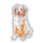 Preview: Digitaldruck Auto Aufkleber Border Collie Hundeaufkleber Sticker DA301