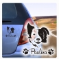 Preview: Hundeaufkleber Border Collie Name Auto Aufkleber A458