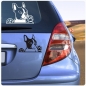 Preview: Boston Terrier Auto Aufkleber Hundeaufkleber Sticker Pfote A635