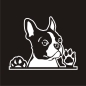 Preview: Boston Terrier Auto Aufkleber Hundeaufkleber Sticker Pfote A635