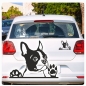 Preview: Boston Terrier Auto Aufkleber Hundeaufkleber Sticker Pfote A635