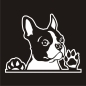 Preview: Boston Terrier Auto Aufkleber Hundeaufkleber Sticker Pfote A635