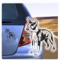 Preview: Auto Aufkleber Boston Terrier Sticker Hunde Hundeaufkleber A451