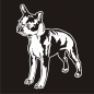 Preview: Auto Aufkleber Boston Terrier Sticker Hunde Hundeaufkleber A451