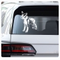 Preview: Auto Aufkleber Boston Terrier Sticker Hunde Hundeaufkleber A451