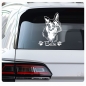 Preview: Auto Aufkleber Boston Terrier Name  Sticker Hunde Hundeaufkleber A450