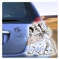 Preview: Katzenaufkleber Britisch Kurzhaar Autoaufkleber Auto Aufkleber Sticker Rassekatzen A512